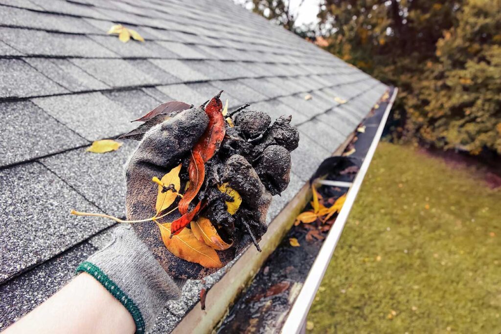 5 Reasons why you must think of regular gutter cleaning services