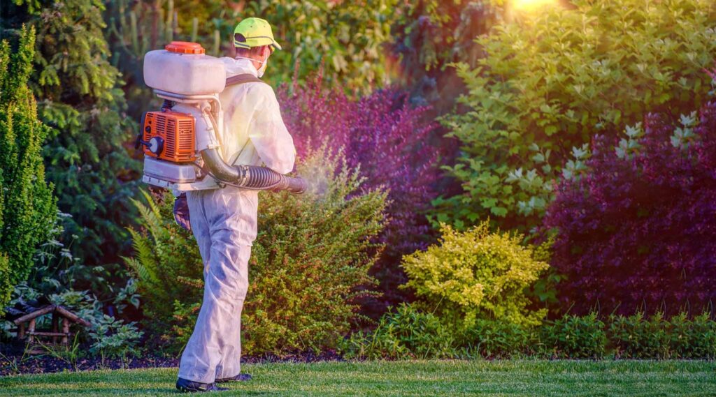 Eco-Friendly Approach to Pest Management: A Sustainable Approach